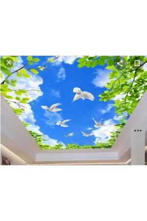 Stretch Ceiling Mgt 12 - Miray Dekorasyon