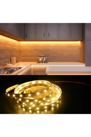Strip Led 10 Chip Indoor Daylight Led Ct-4481 (5 MT) (PRICE EXCLUDES TRANSFORMER) - Cata
