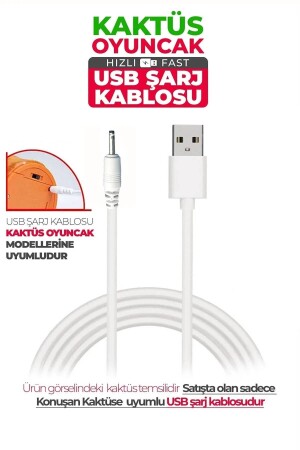 Talking Dancing Cactus Toy USB Cable - Misan