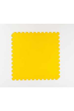 Tatami Cushion 100x100 13 Mm Wrap Color - Salman Spor