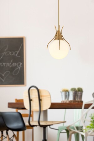Terra Single Antique Pendant Lamp Modern Sports Young Room, Kitchen Living Room Pendant Lamp Chandelier 3759-01-FR - Apliqa
