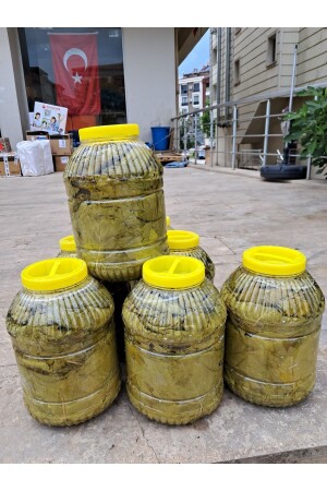 Tokat Pickled leaves - Organik Gıdam