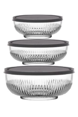 Tokyo Storage Container 3 Pieces 262262 - Lav