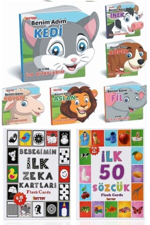 Training Set 50 Words My Baby's First Intelligence Cards And Who Am I Shaped Books dti5kş - Diytoy