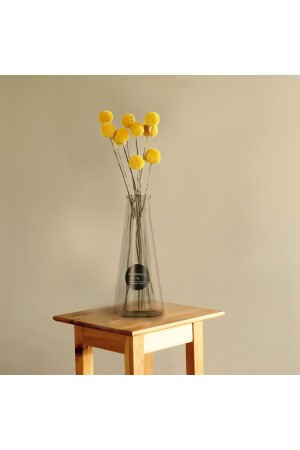 Transparent Glass Vase - Miniminti