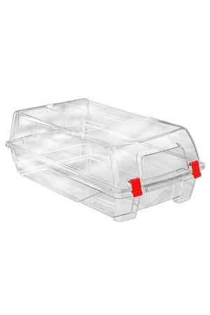 Transparent Shoe Storage Box 12 Piece BOT Box - Viyalente