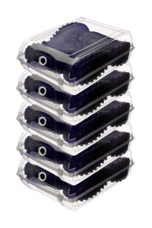 Transparent Shoe Storage Box 5-Piece Boot Box - Perodia