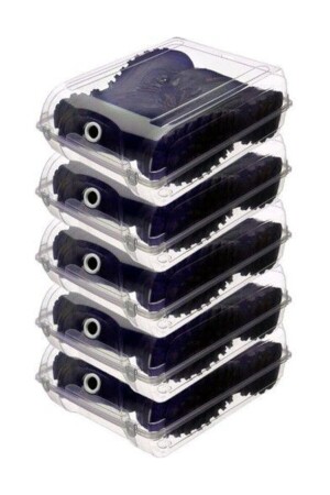 Transparent Shoe Storage Box 5-Piece Boot Box Gnd MRP4-2001 - morponi