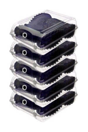 Transparent Shoe Storage Organizer Box 5-Piece Boot Box - Leeshome