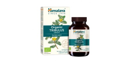 Tribulus - POWERBODY