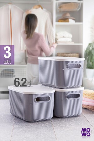 Trove 3 Stück 6. 2 Lt (grau) Organizer-Box mit Deckel – dekorative Aufbewahrungsbox - Mowo Home