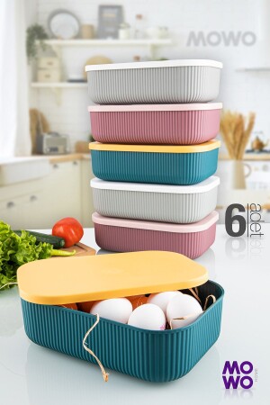 Trove 6 Piece 3. 2 Lt (mix) Kitchen Storage Container MOWO-01-332-6M - Mowo Home