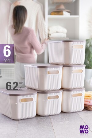 Trove 6 Stück 6. 2 Lt (WEIß) Organizer-Organizer-Box mit Deckel – dekorative Aufbewahrungsbox - Mowo Home
