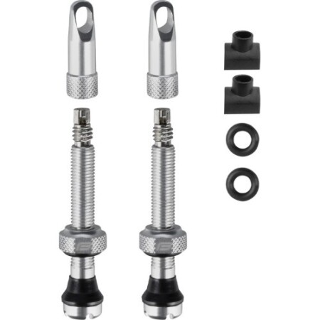 Tubeless tire valve set FORCE FV 44mm (silver) - Force