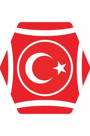 Turkish Flag Hexagonal Plastic Slatted Kite U101 - Onur uçurtma her çocuğun bir masalı olmalı