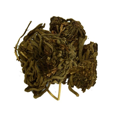 Valerian Root Natural 100 Gr Package - Lokmanavm