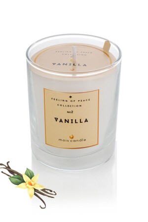 Vanilla Scented Glass Candle - Mois Candle