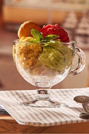 Vario Ice Cream Bowl with Handle 4-Piece P55182-1067931 - Paşabahçe