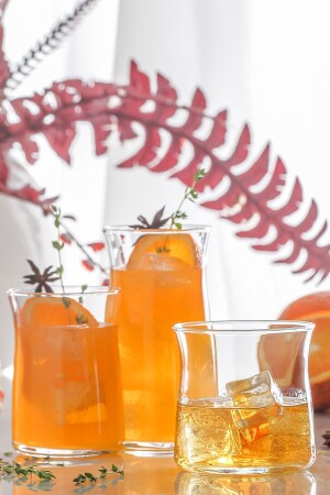 Vera Set of 6 Water Glasses - Lav