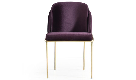 Vienna Gold Chair 6 Pieces - Cadde Yıldız