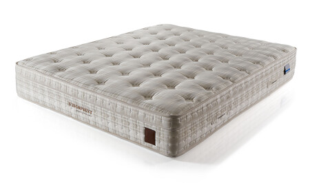 Viscopoint Orthopedic Mattress - Cadde Yıldız