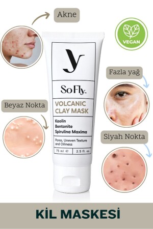 Volcanic Purifying Clay Mask 75ml SFD011-01 - So Fly