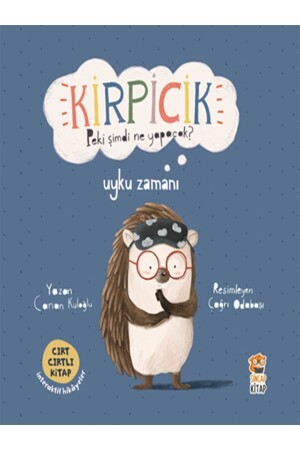Was wird Porcupine jetzt tun? - Sincap Kitap