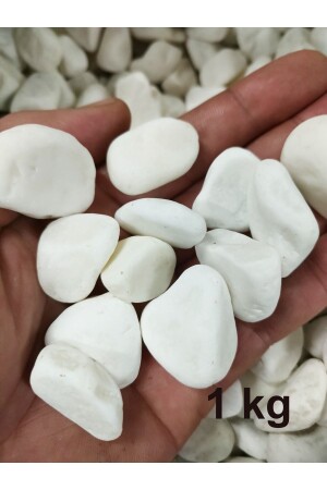 White Dolomite Stone Furniture Decoration 1 Kg 15-25mm Stream Pebble Stone Garden Ornamental Stone Flower Pot - Lampello