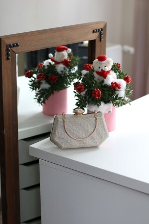 Women's Gold Handle Detailed Evening Bag - Moom Bag
