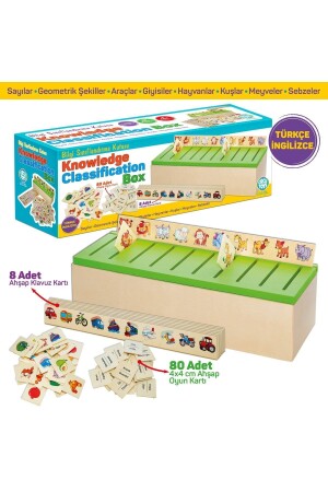 Wooden Knowledge Classification Box Educational Crenelated Toy 88 Pieces Knowledge Classification Box - Circle Toys