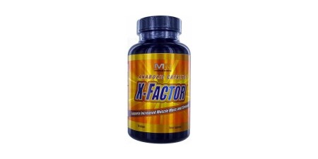 X-Factor - POWERBODY