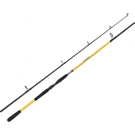 Zfish Rod Kodiak 2.40m/100-250g - ZFish