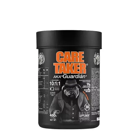 Zoomad Labs Caretaker® BCAAs 10:1:1 (480 g, Silk Orange) - Zoomad Labs