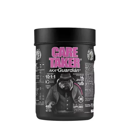 Zoomad Labs Caretaker® BCAAs 10:1:1 (480 g, Strawberry Cream) - Zoomad Labs